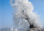 下雪天出門要注意什么