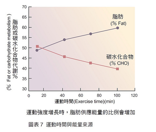 運動前喝咖啡好嗎 如何游泳可以減肥