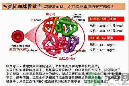 貧血的癥狀 貧血的人吃什么補(bǔ)血最快?