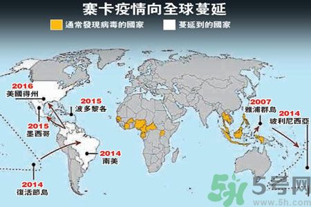 寨卡病毒為何會震驚全球?怎樣預防寨卡病毒