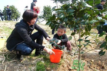 植樹節(jié)是什么時候?植樹節(jié)為什么定在這一天?