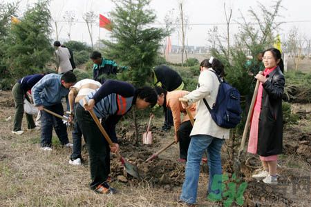 植樹(shù)節(jié)是幾月幾日？植樹(shù)節(jié)可以做些什么活動(dòng)？