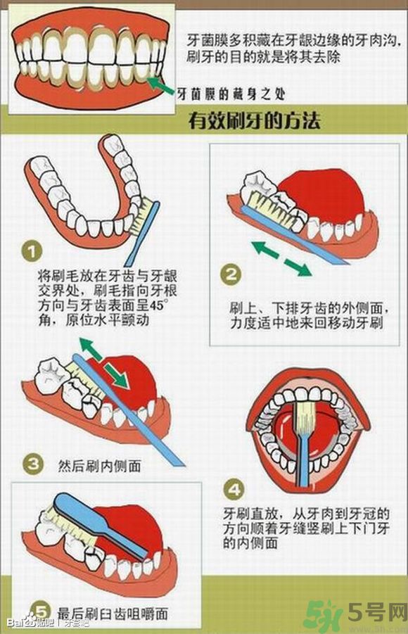 18歲還能戴牙套嗎？戴牙套真的能瘦臉改變臉型嗎？