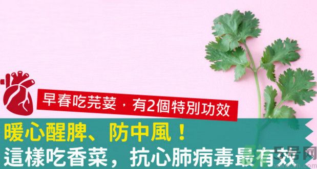 春天吃香菜好嗎？春天吃香菜有什么好處？