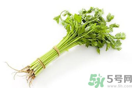 芹菜可以減肥嗎？芹菜有什么功效？