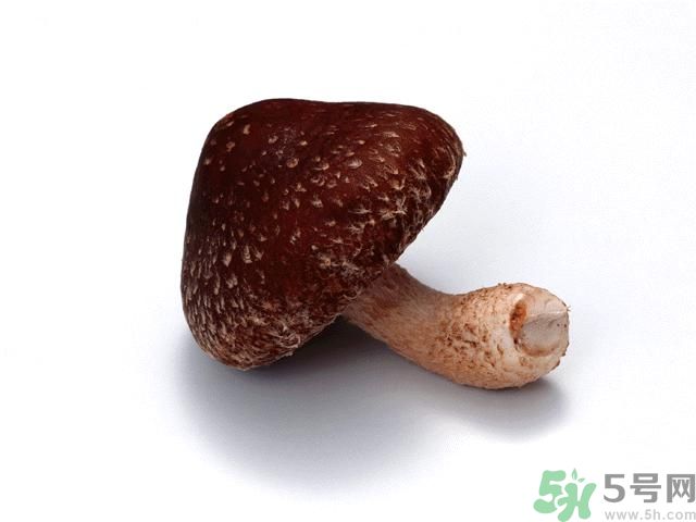 西紅柿發(fā)青可以吃嗎？青西紅柿吃了好不好？