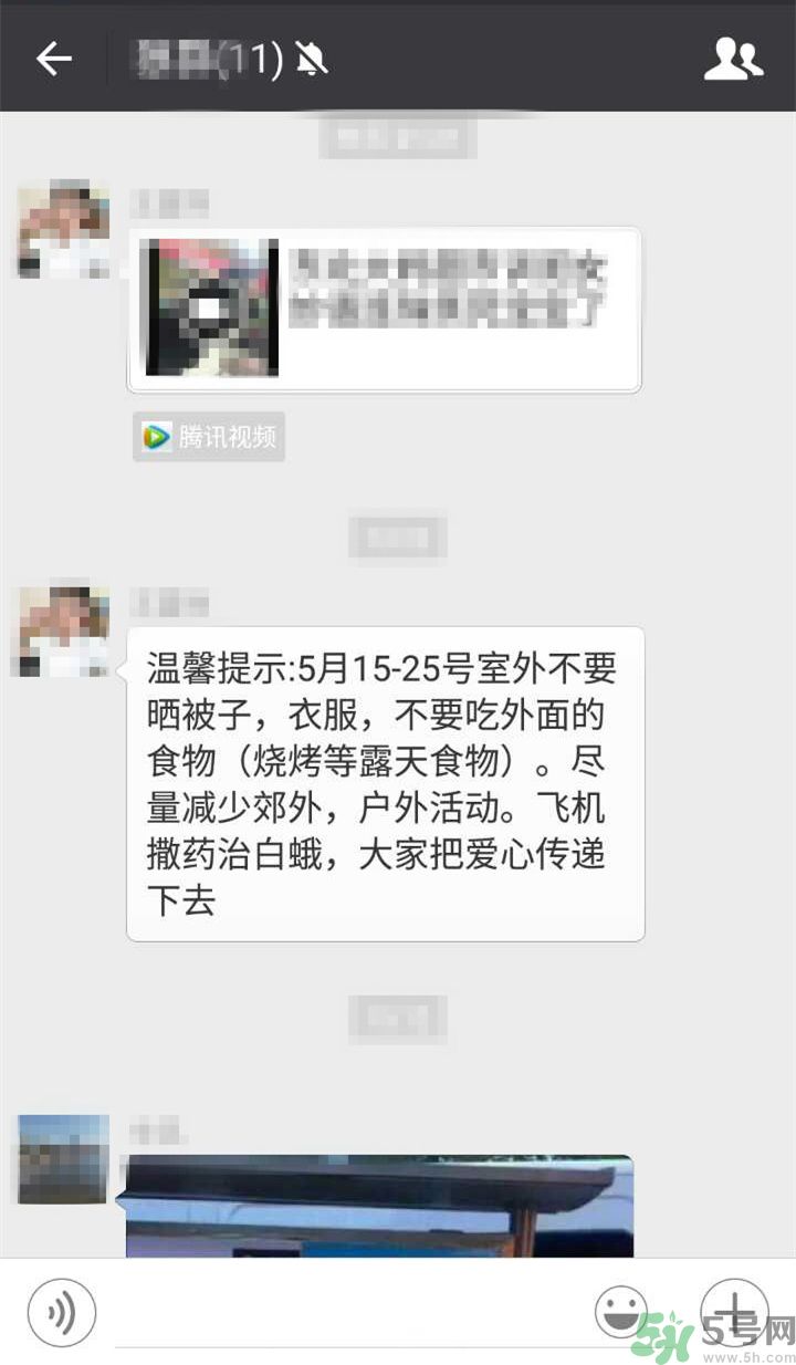 為什么15-25號(hào)不要曬被子？什么是美國白蛾？