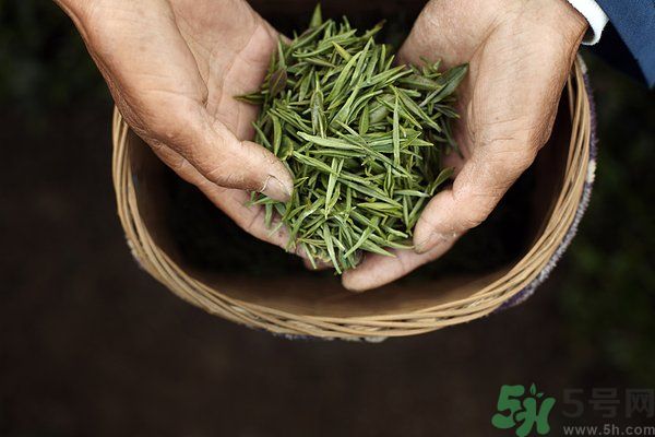 吃魚的時(shí)候能喝茶嗎？吃魚可以喝茶嗎？