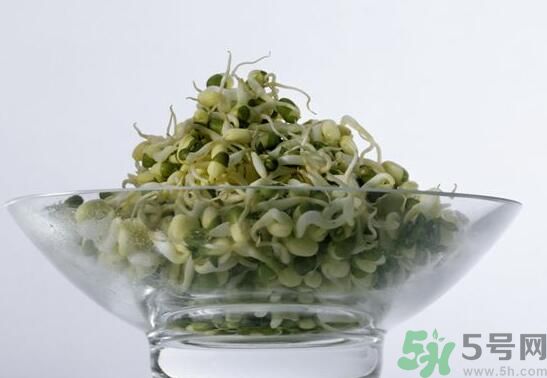 夏天吃綠豆芽可以清火嗎？夏天吃綠豆芽能降火嗎？