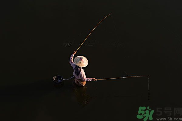 雷陣雨可以釣魚嗎？雷陣雨天氣適合釣魚嗎？