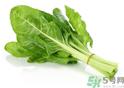 菠菜沒(méi)熟可以吃嗎?菠菜沒(méi)熟吃了會(huì)怎么樣