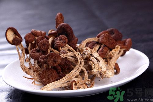 孕婦能否吃茶樹(shù)菇?孕婦吃茶樹(shù)菇的好處