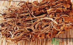 孕婦能否吃茶樹(shù)菇?孕婦吃茶樹(shù)菇的好處