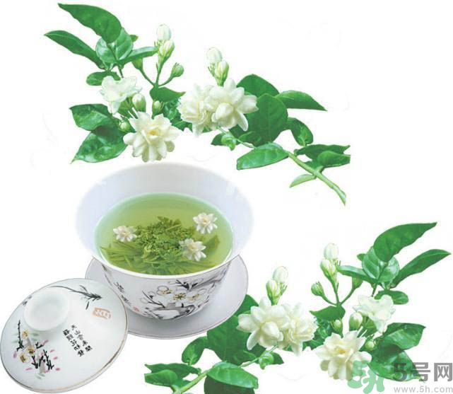 茉莉花茶是熱性還是涼性？茉莉花茶是涼性嗎？