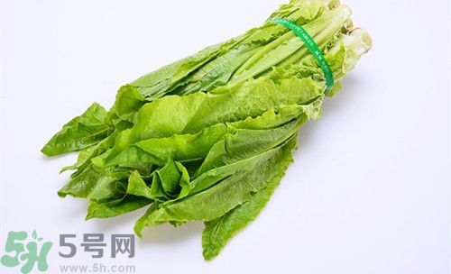 油麥菜孕婦能吃嗎?孕婦吃油麥菜的好處