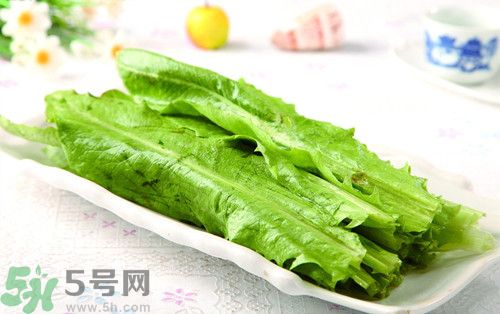 油麥菜孕婦能吃嗎?孕婦吃油麥菜的好處