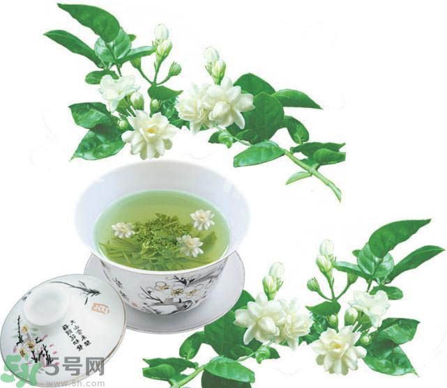 茉莉花茶可以減肥嗎？怎樣喝茉莉花茶可以減肥？