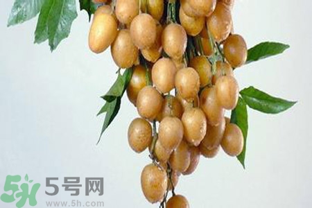 黃皮果是不是發(fā)物？黃皮果是發(fā)物嗎？