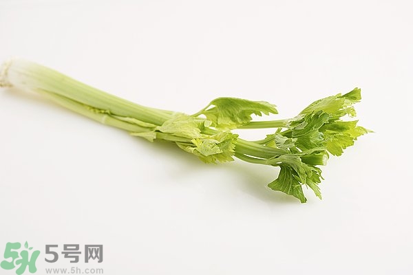 芹菜對精子有害嗎？芹菜對精子質(zhì)量有什么影響？