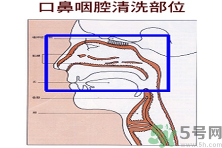 鼻炎能用生理鹽水清理鼻腔嗎？鼻炎能不能用生理鹽水清理鼻腔？