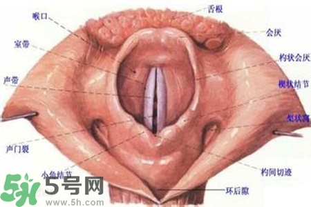 慢性咽炎的發(fā)病因素？慢性咽炎的并發(fā)癥有哪些？