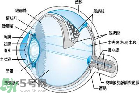 近視眼是什么？近視眼的癥狀有哪些？