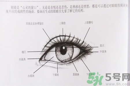 白內(nèi)障的發(fā)病因素是什么？白內(nèi)障并發(fā)癥有哪些？