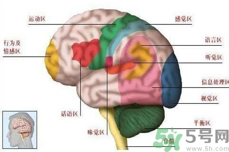 腦出血的發(fā)病因素是什么？腦出血的并發(fā)癥有哪些？