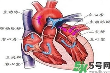 心臟病的癥狀是什么？心臟病的種類有哪些？