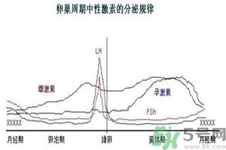 如何分清常見的激素藥？如何正確使用激素類藥物？