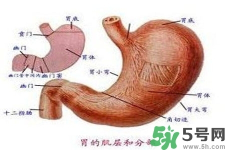 急性腸胃炎哪些食物不可以吃？急性腸胃炎不能吃的水果有？