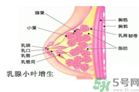 女性乳腺增生的原因是什么？乳腺增生的癥狀有哪些？