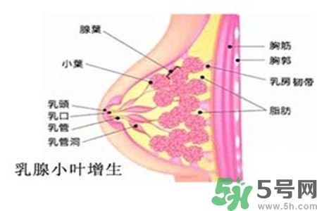 乳房上有硬塊怎么辦？乳房有硬塊的病因是什么？