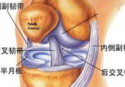 前十字韌帶斷裂可以參加比賽嗎？前十字韌帶斷裂怎么治療？