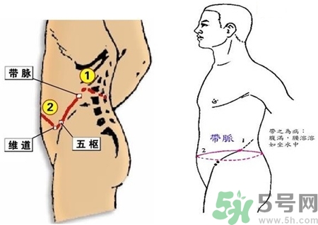 帶脈不通對人體造成的影響 帶脈不通的身體表現