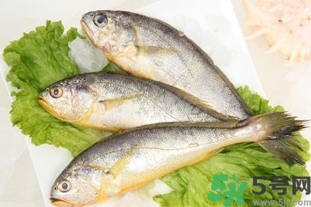 秋季適合吃什么魚？秋季吃魚的好處？