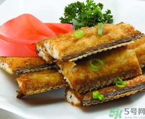 帶魚是發(fā)物嗎？手術(shù)后可以吃帶魚嗎？