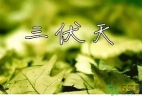 三伏天可以理發(fā)嗎？三伏天為什么不能理發(fā)？