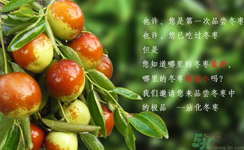 晚上吃棗子會(huì)胖嗎？晚上吃新鮮棗子會(huì)胖嗎？