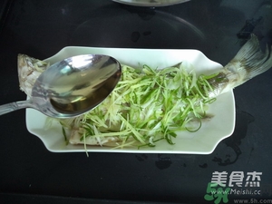 鱸魚蒸多長時(shí)間？鱸魚怎么蒸？