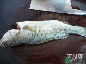 鱸魚蒸多長時(shí)間？鱸魚怎么蒸？