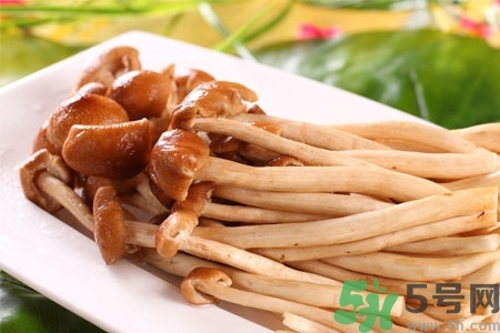 茶樹(shù)菇的營(yíng)養(yǎng)價(jià)值 茶樹(shù)菇的功效與作用