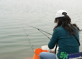 秋天釣鯉魚用什么味型？秋季釣鯉魚餌料味型