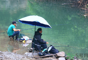 釣的魚怎么保存？釣的魚吃不完怎么保存？