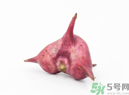 菱角可以燉排骨嗎?菱角燉排骨有什么好處