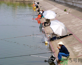 水庫(kù)釣魚用什么餌料？水庫(kù)釣魚用什么商品餌？