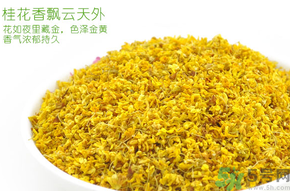 剛摘的桂花有蟲怎么辦？干桂花長蟲怎么辦？