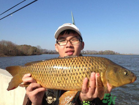 夜釣鯉魚用什么餌料？秋天夜釣鯉魚用什么餌料？