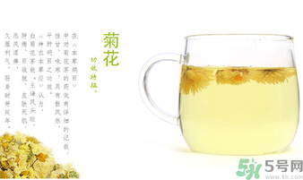 菊花茶可以放冰箱嗎？菊花茶能放冰箱冷凍嗎？