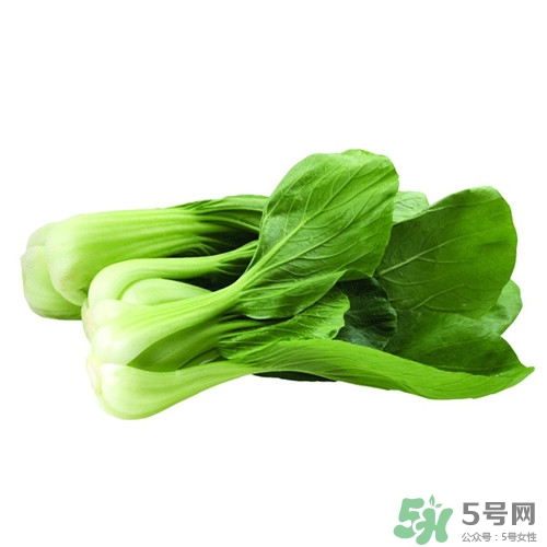 油菜需要焯水嗎?油菜焯水多久